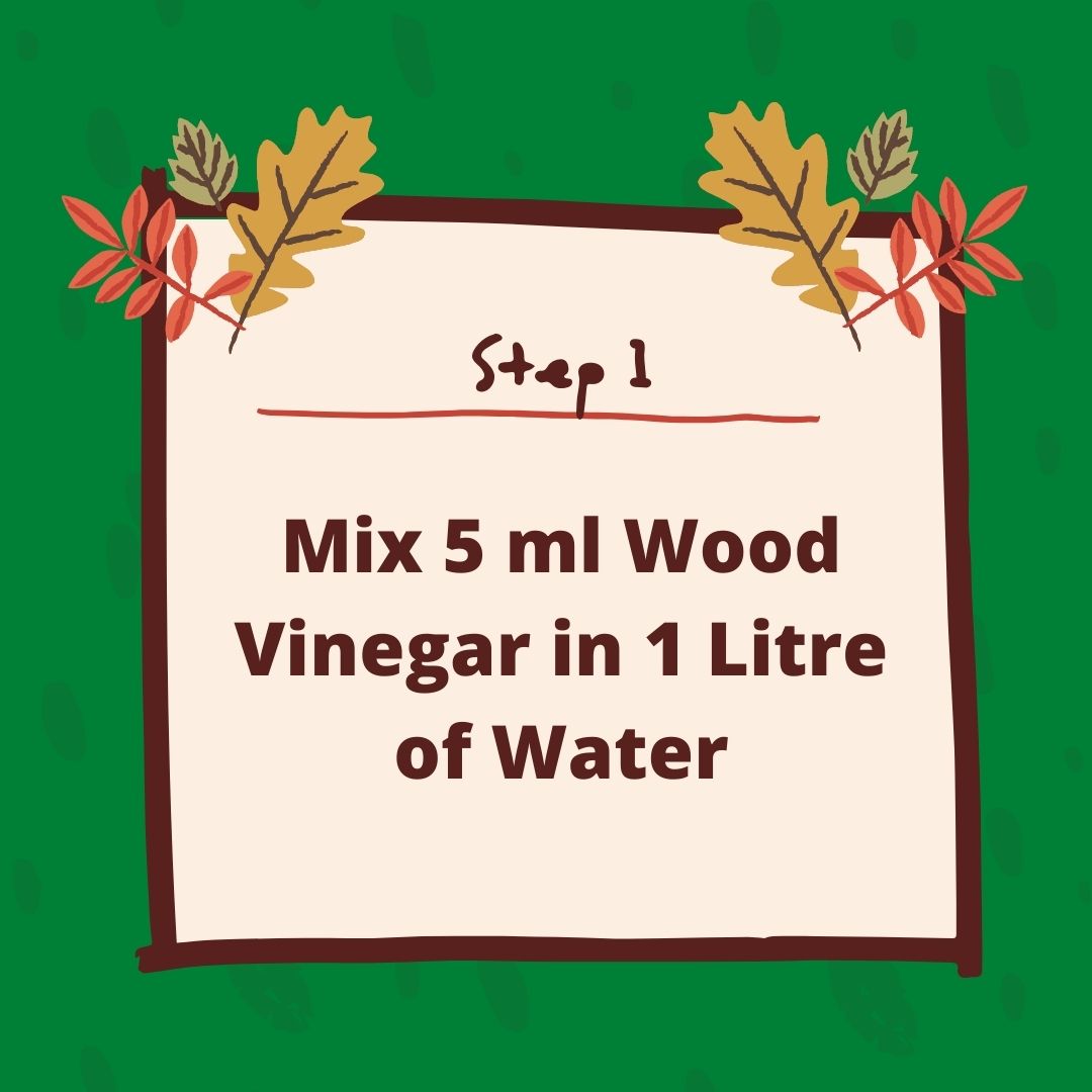 Wood Vinegar Organic Fertilizer Wood Vinegar